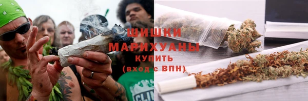 сатива Белокуриха