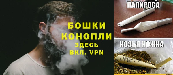 сатива Белокуриха