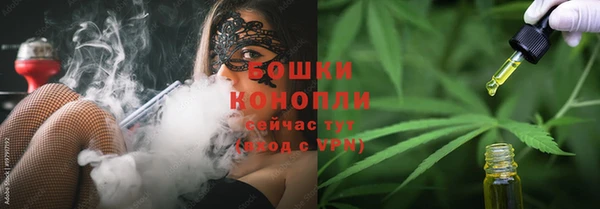 сатива Белокуриха
