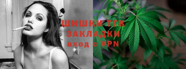 сатива Белокуриха