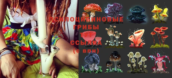 гашиш Беломорск