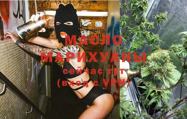 крисы Слюдянка