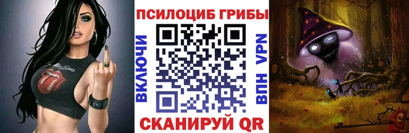 Псилоцибиновые грибы прущие грибы это официальный сайт Городовиковск продажа наркотиков mega